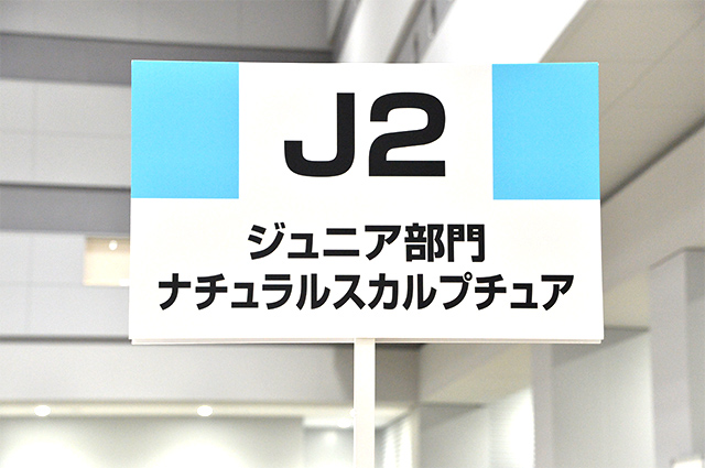 J2：ジュニア部門：ナチュラルスカルプチュア